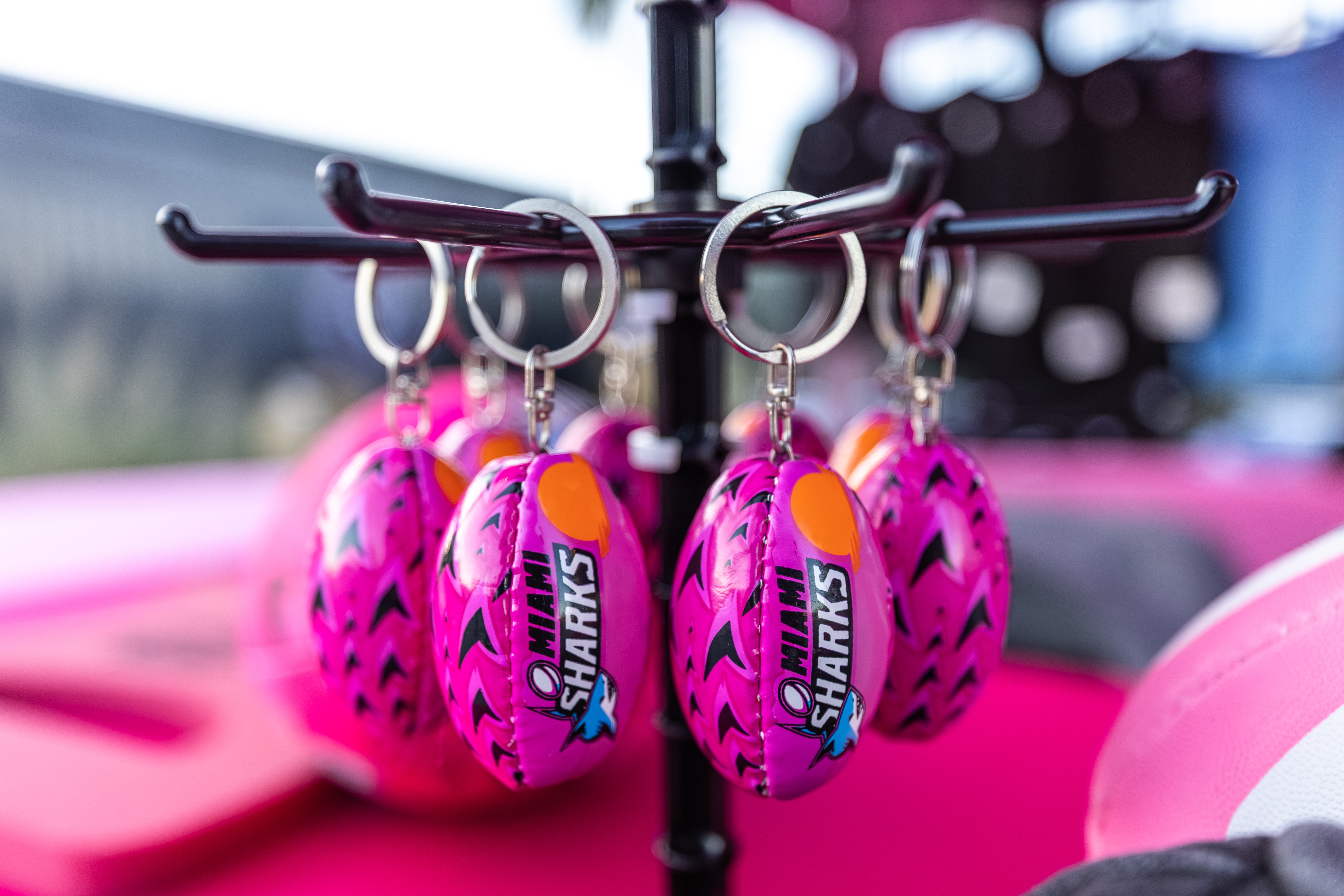 Miami Sharks Ball Key Chain